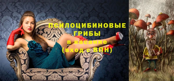 крисы Козельск