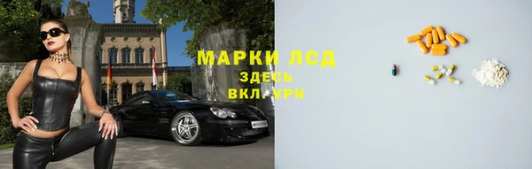 крисы Козельск