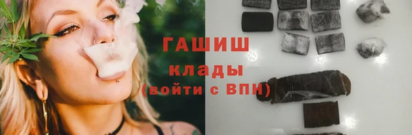крисы Козельск
