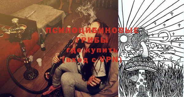 крисы Козельск