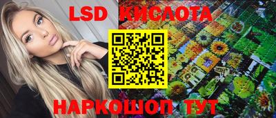 дмт Гусев