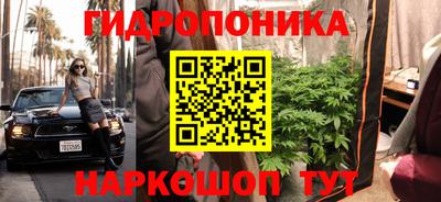 дмт Гусев