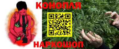 дмт Гусев