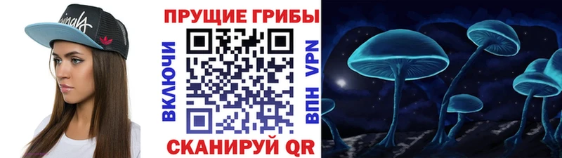 shop официальный сайт  Минусинск  Галлюциногенные грибы Psilocybe 