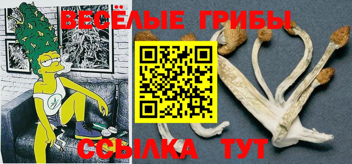Галлюциногенные грибы ЛСД  Вход с VPN  Минусинск  Галлюциногенные грибы ЛСД 