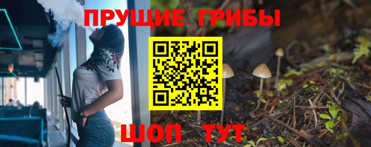 Псилоцибиновые грибы Psilocybe Минусинск